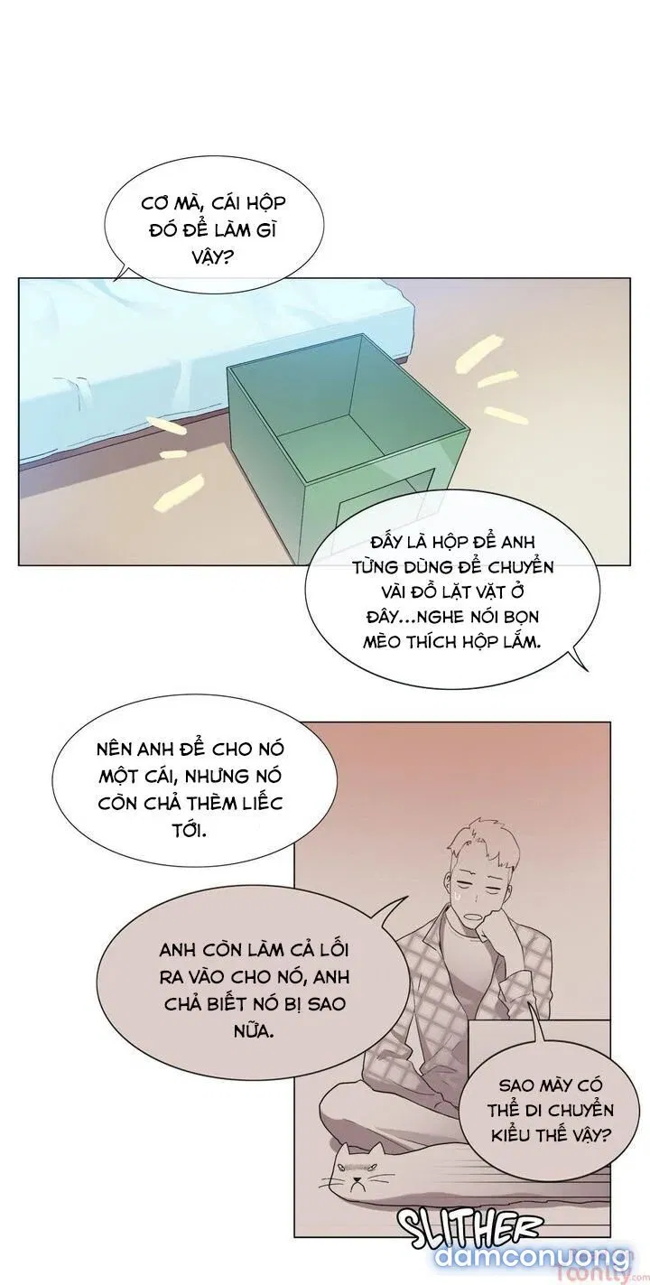 Vùng Đất Kỳ Diệu 