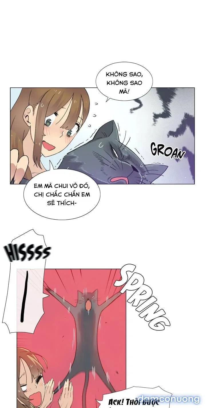 Vùng Đất Kỳ Diệu 