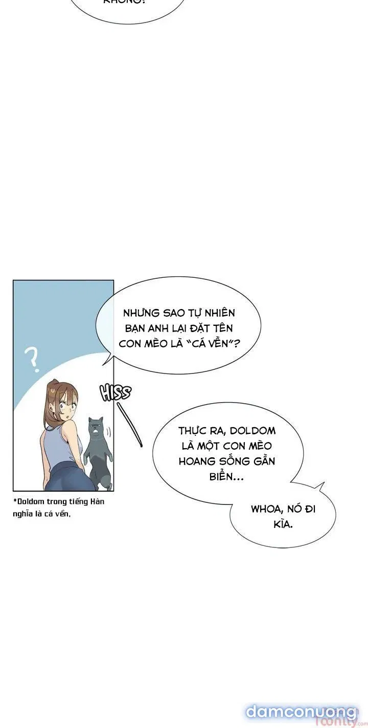 Vùng Đất Kỳ Diệu 
