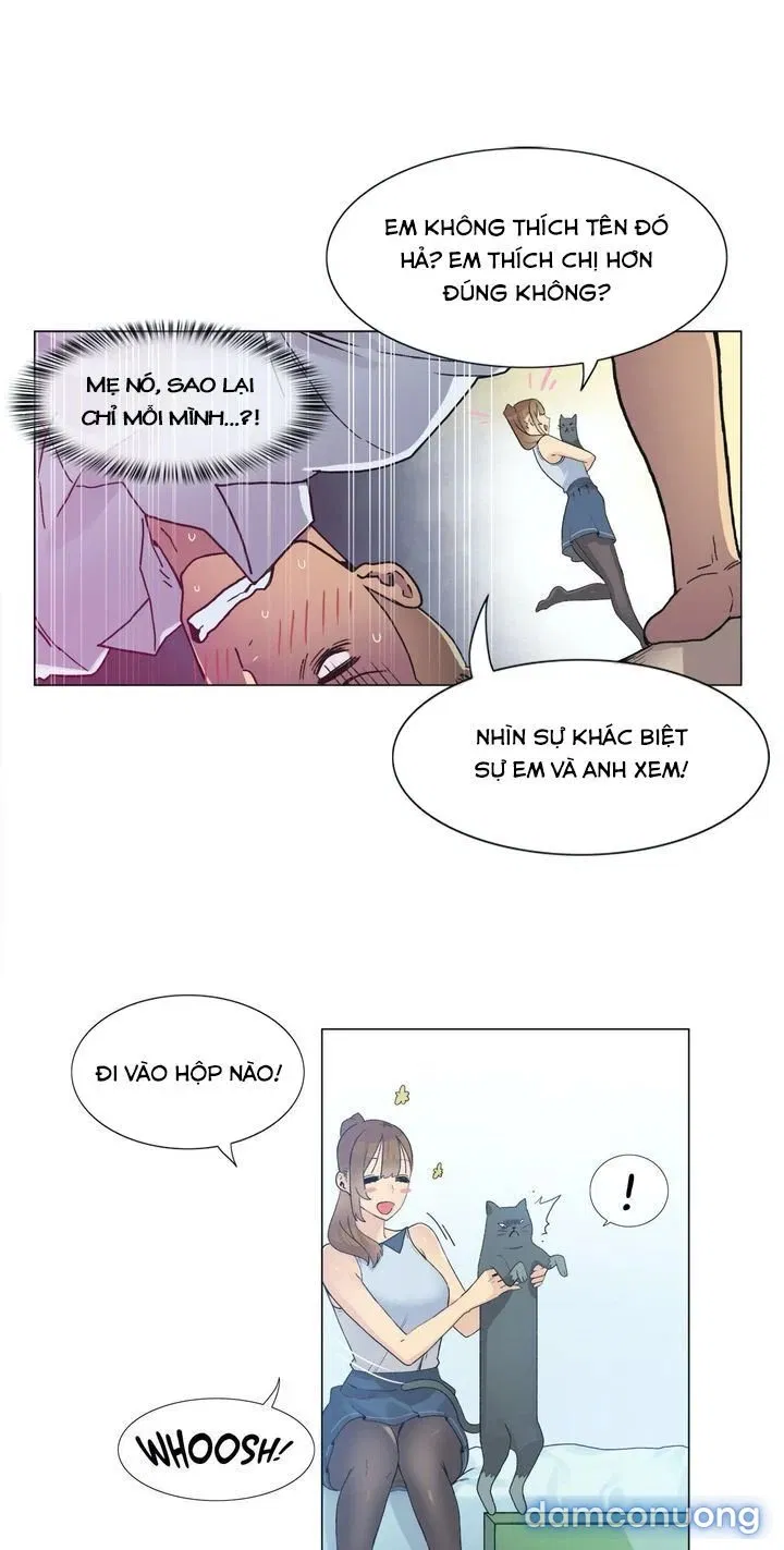 Vùng Đất Kỳ Diệu 