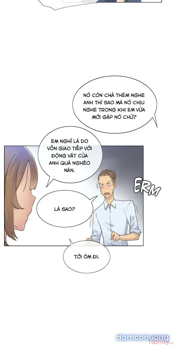 Vùng Đất Kỳ Diệu 
