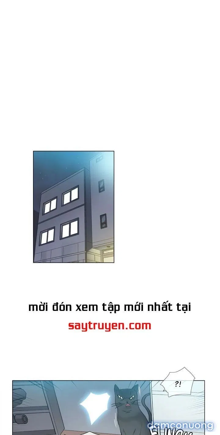 Vùng Đất Kỳ Diệu 