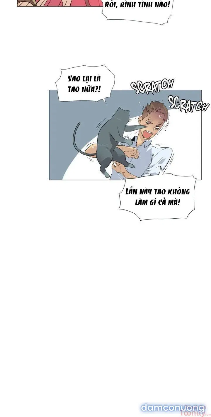 Vùng Đất Kỳ Diệu 