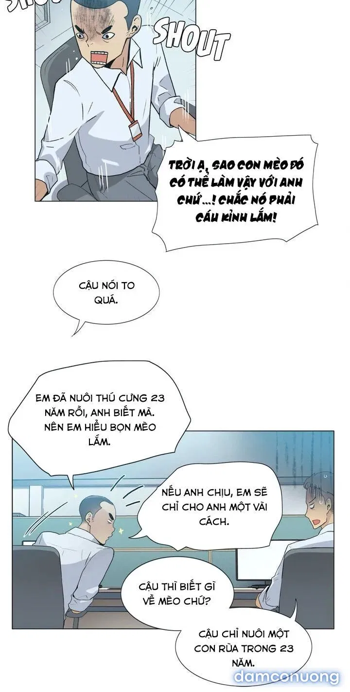 Vùng Đất Kỳ Diệu 