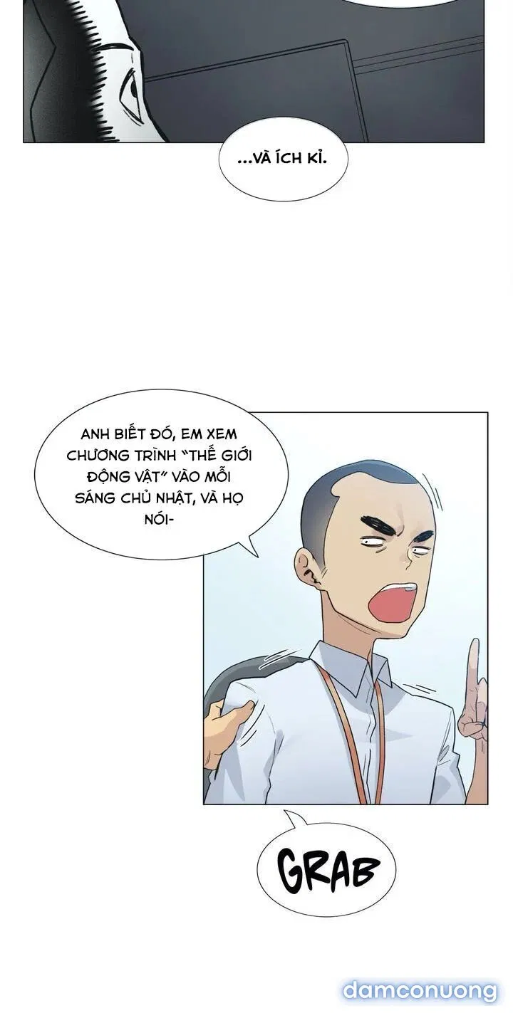 Vùng Đất Kỳ Diệu 