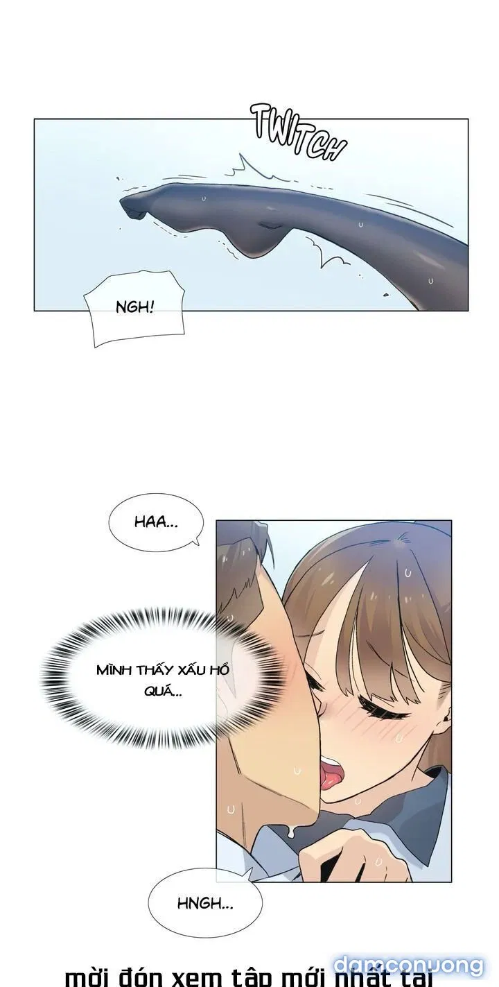 Vùng Đất Kỳ Diệu 