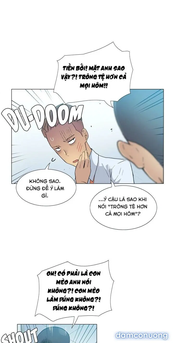 Vùng Đất Kỳ Diệu 