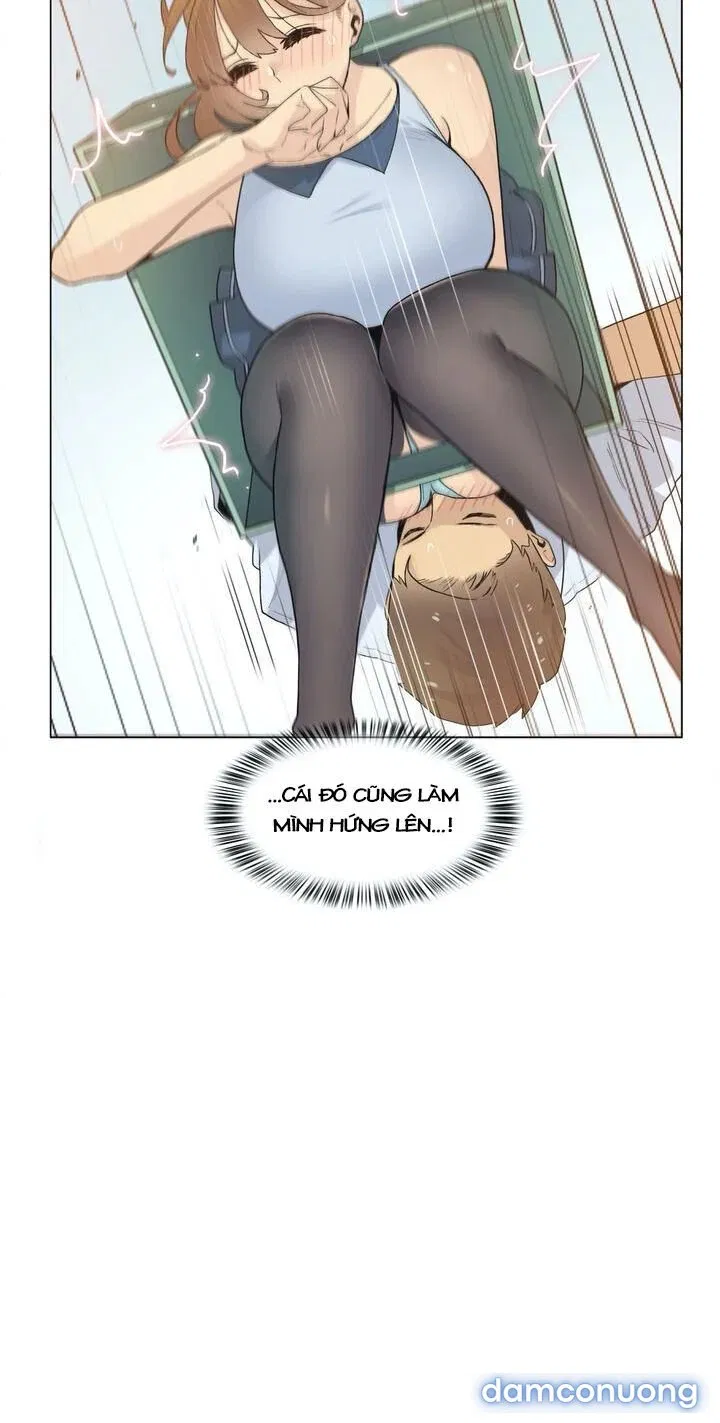 Vùng Đất Kỳ Diệu 