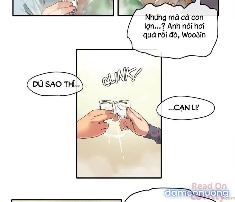 Vùng Đất Kỳ Diệu 