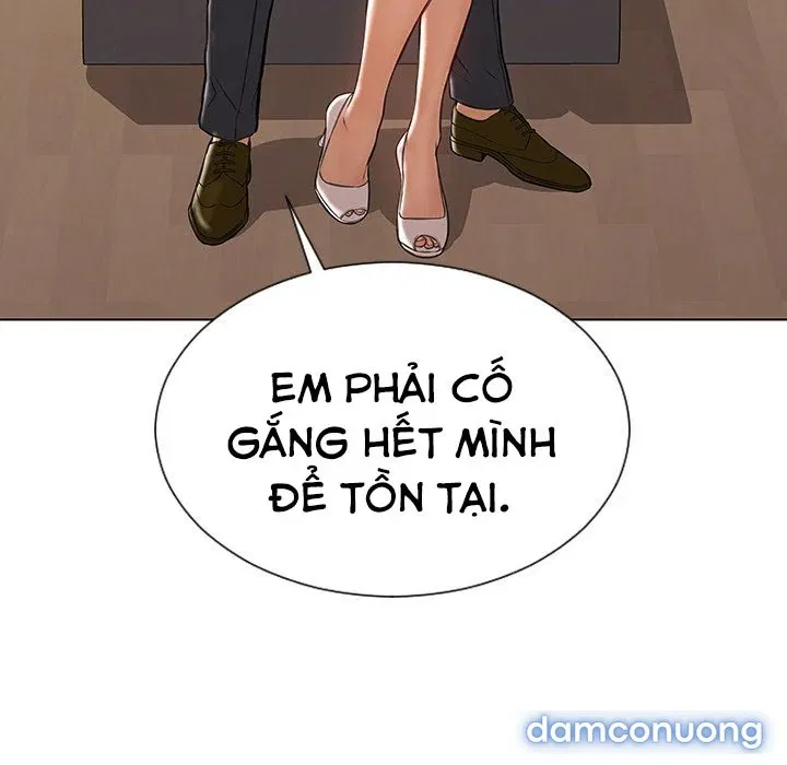 Siêu Sao Cynthia Oh 