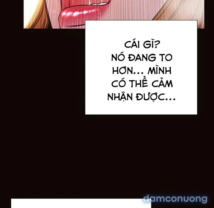 Siêu Sao Cynthia Oh 