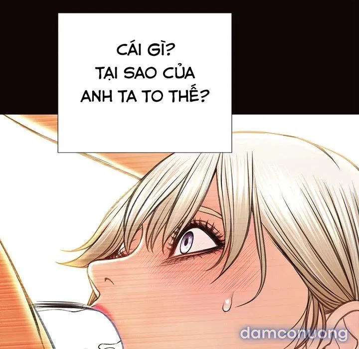 Siêu Sao Cynthia Oh 