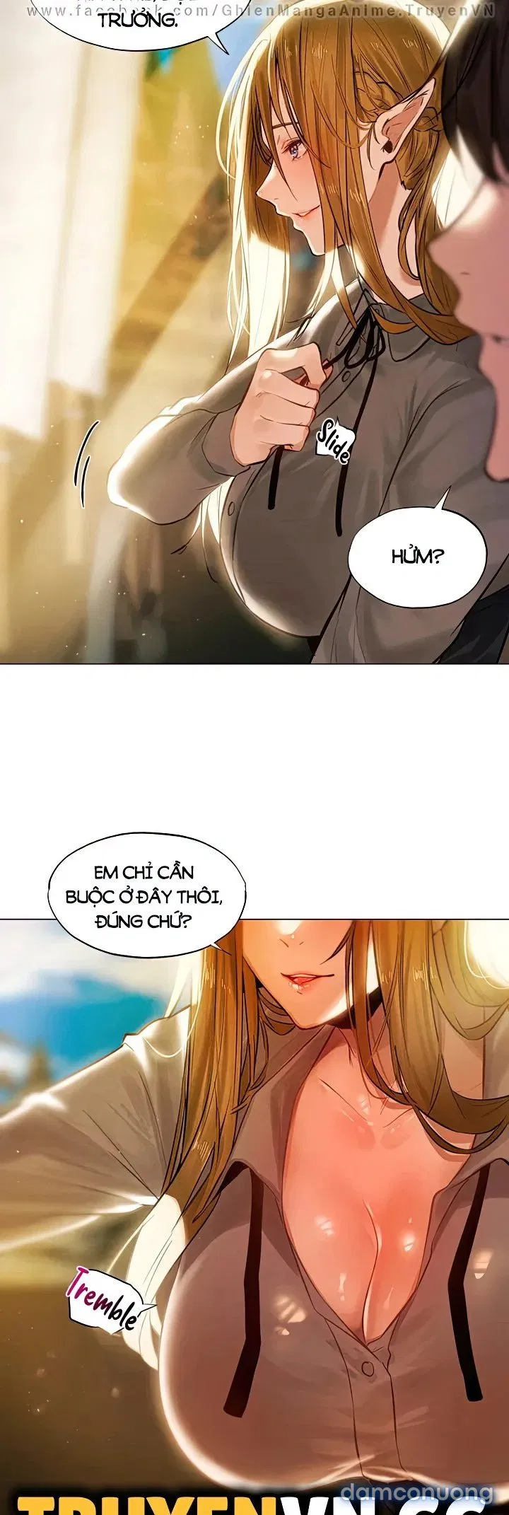 Vương Quốc Harem Ở Dị Giới 
