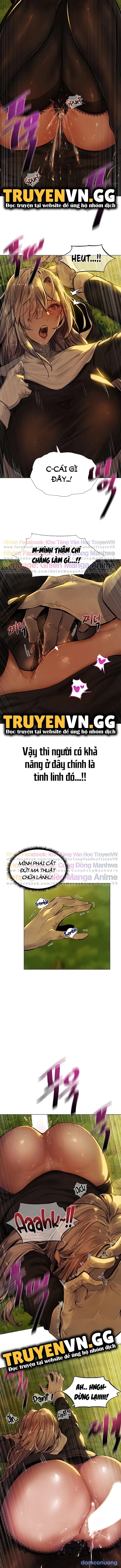Vương Quốc Harem Ở Dị Giới 