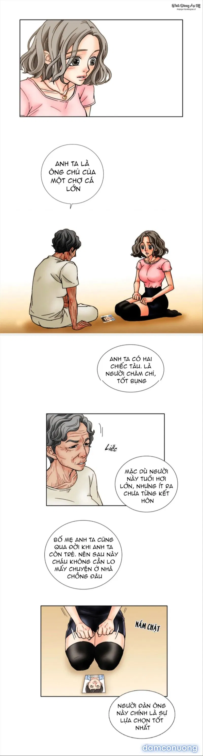 Người Tình Của Mẹ Tôi 