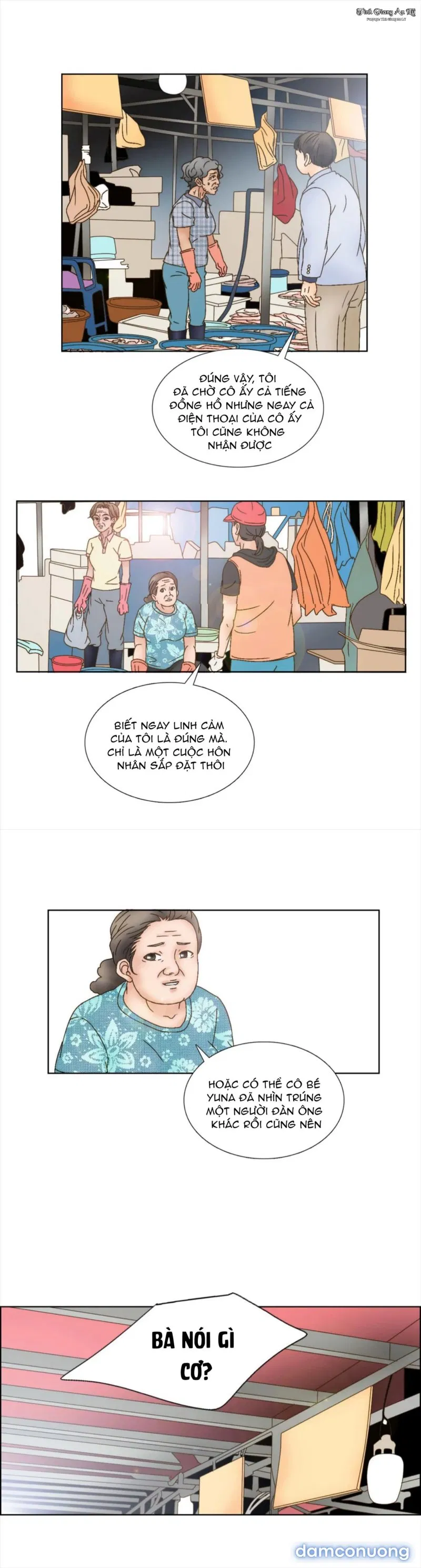 Người Tình Của Mẹ Tôi 