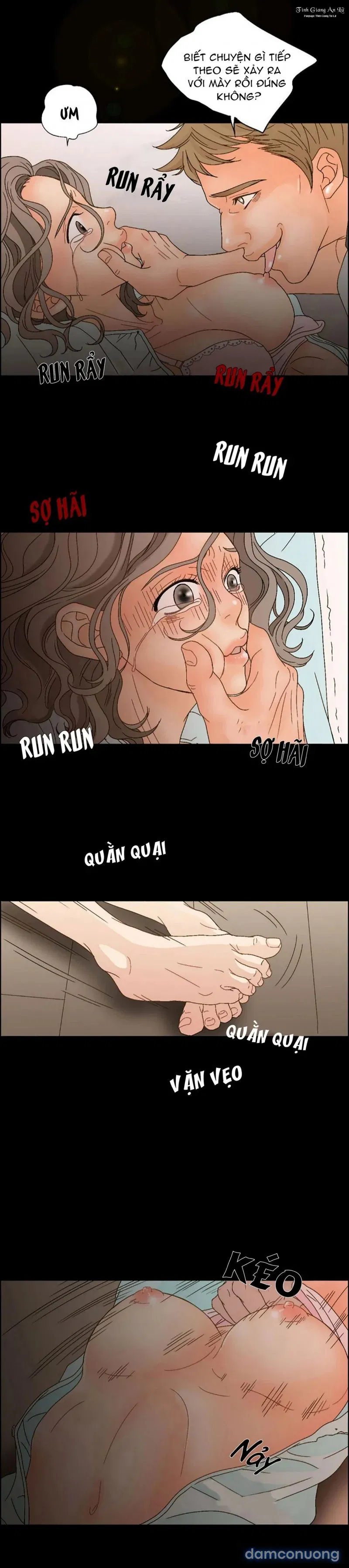 Người Tình Của Mẹ Tôi 