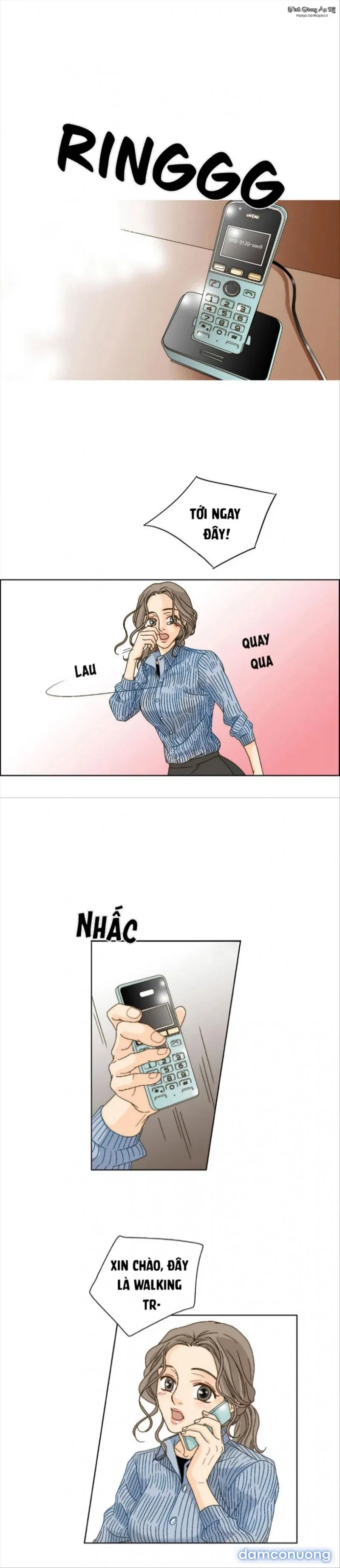 Người Tình Của Mẹ Tôi 