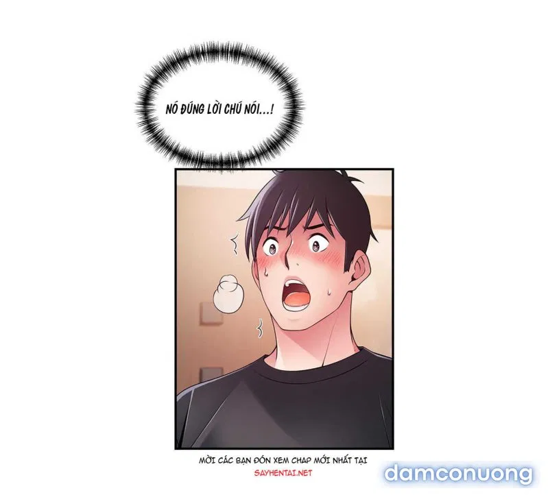 Weak Point – Điểm Yếu 