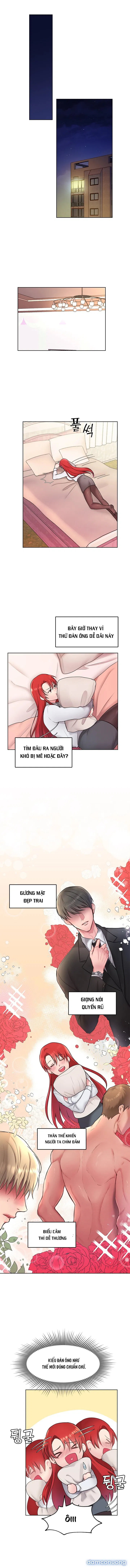 Bệ Hạ Là Của Tôi 
