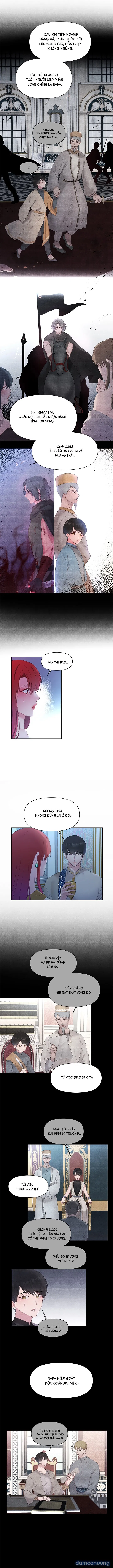 Bệ Hạ Là Của Tôi 