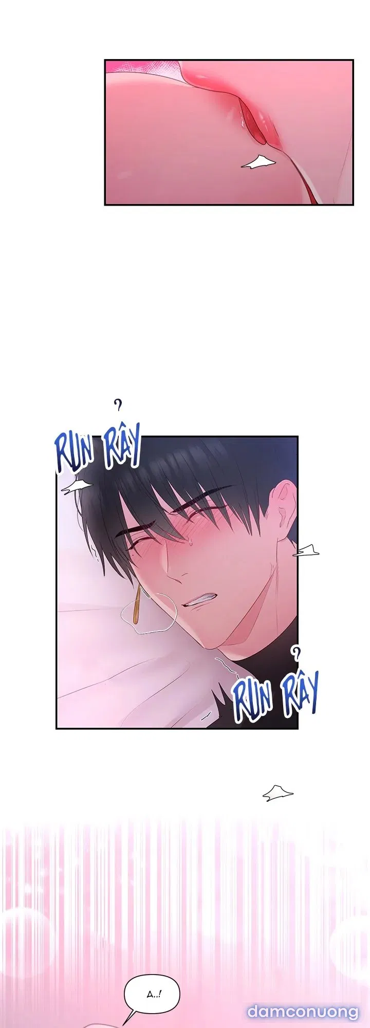 Bệ Hạ Là Của Tôi 