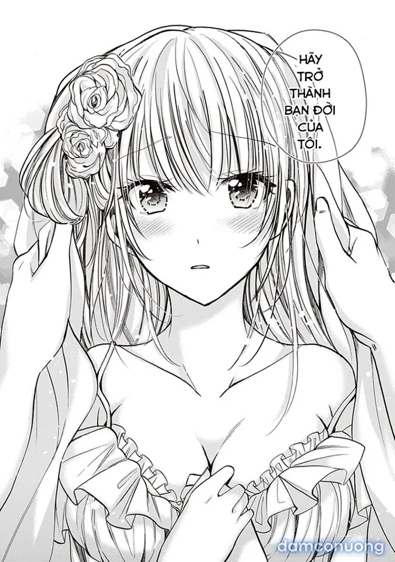 Fuufu Ijou, Koibito Miman 