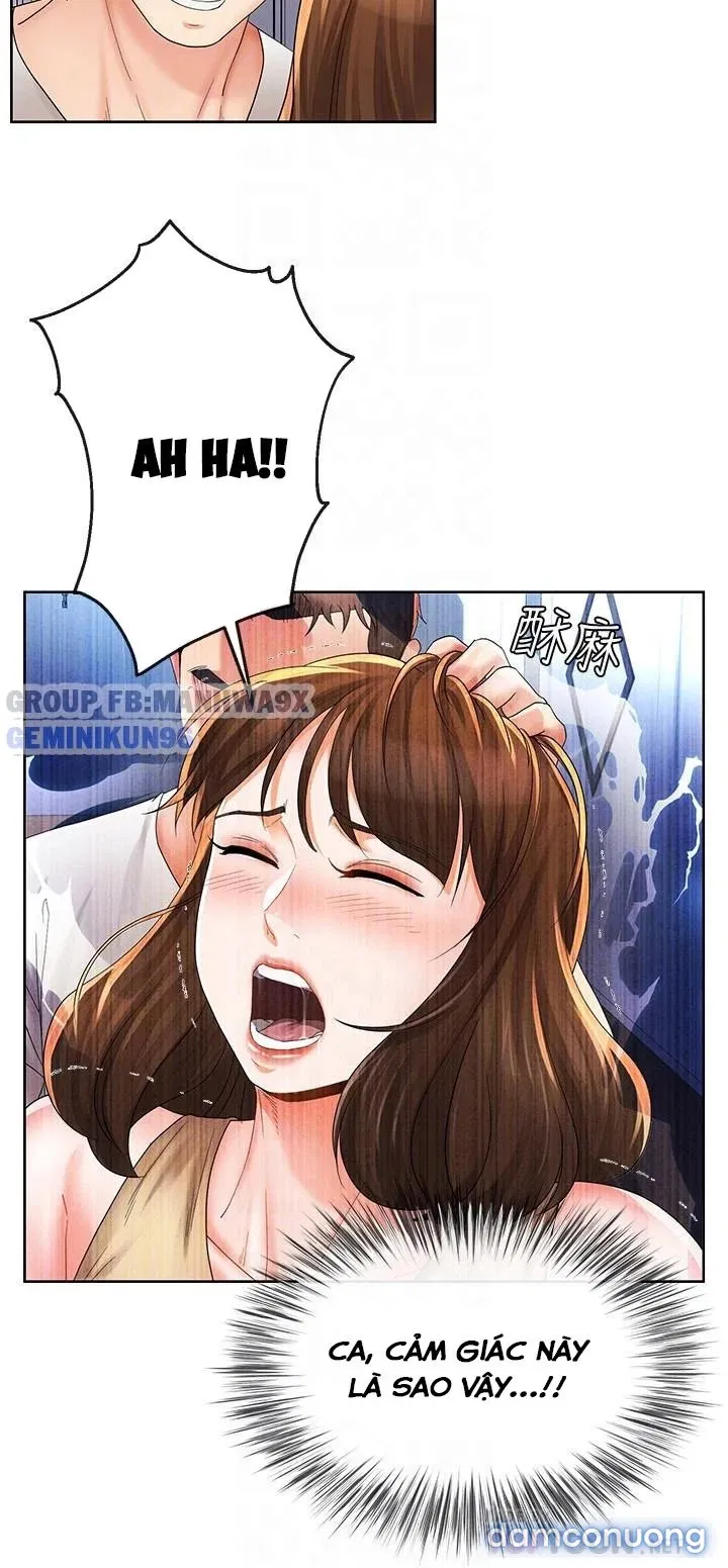 Cặp đôi kí sinh 