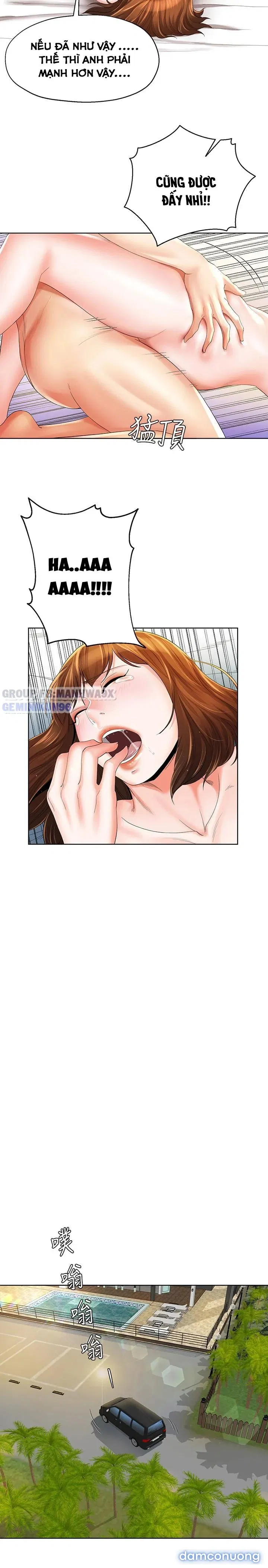 Cặp đôi kí sinh 
