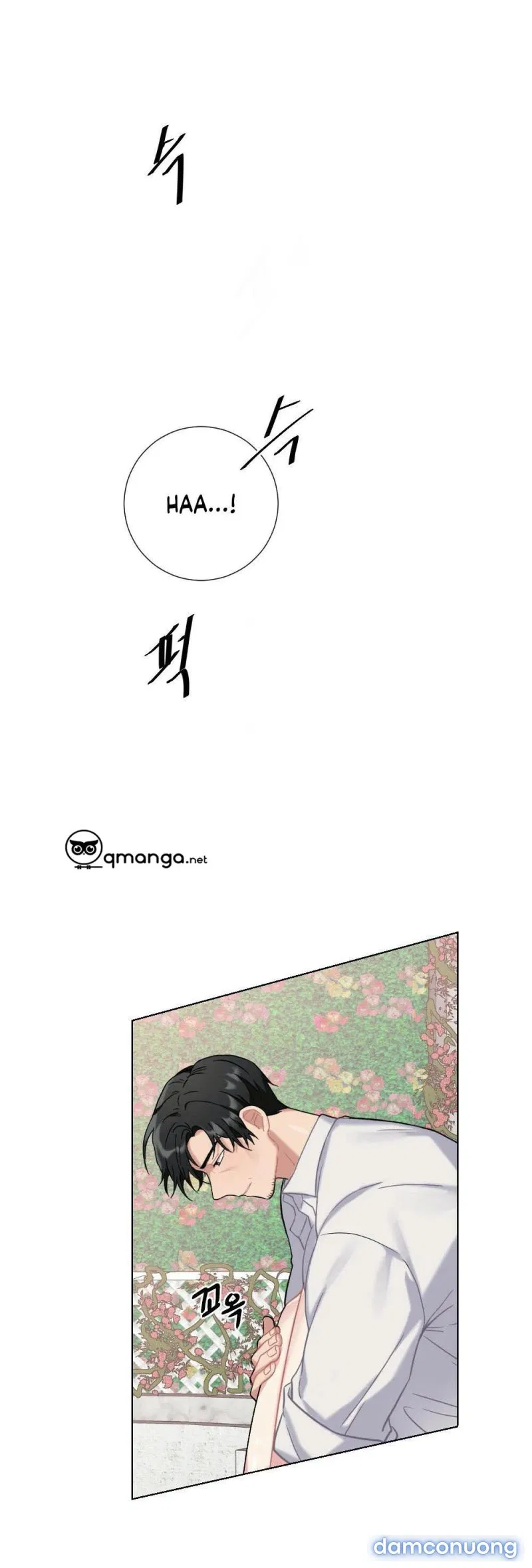 Cô Chủ Và Người Hầu 