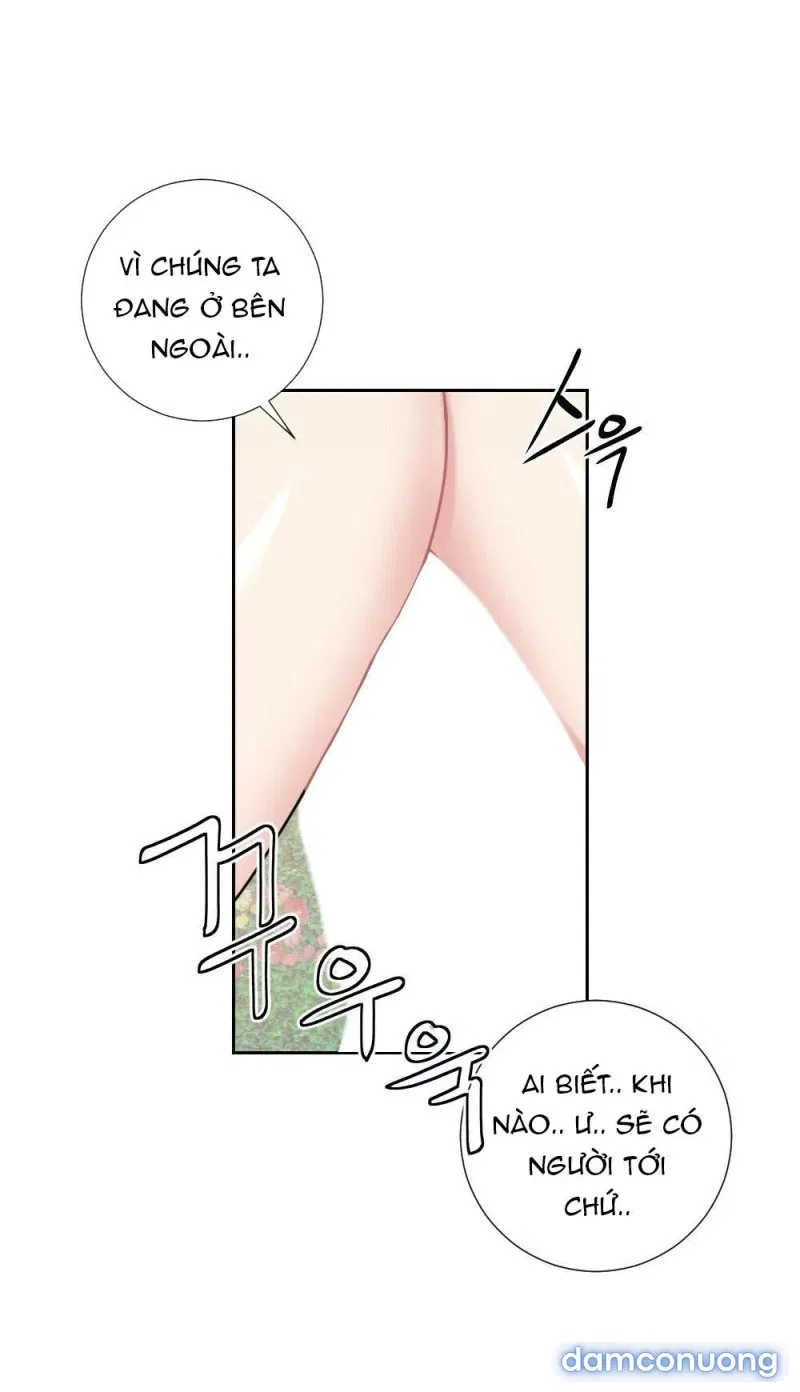 Cô Chủ Và Người Hầu 