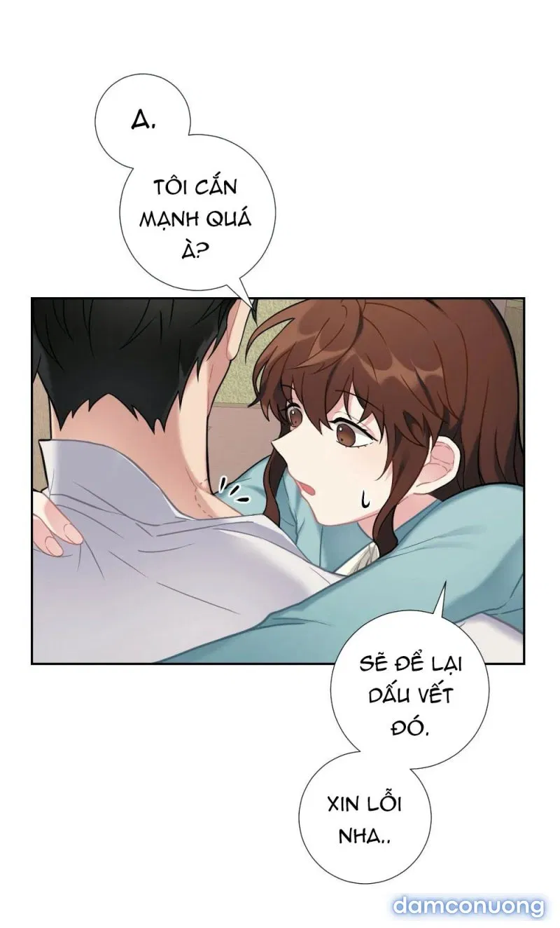 Cô Chủ Và Người Hầu 