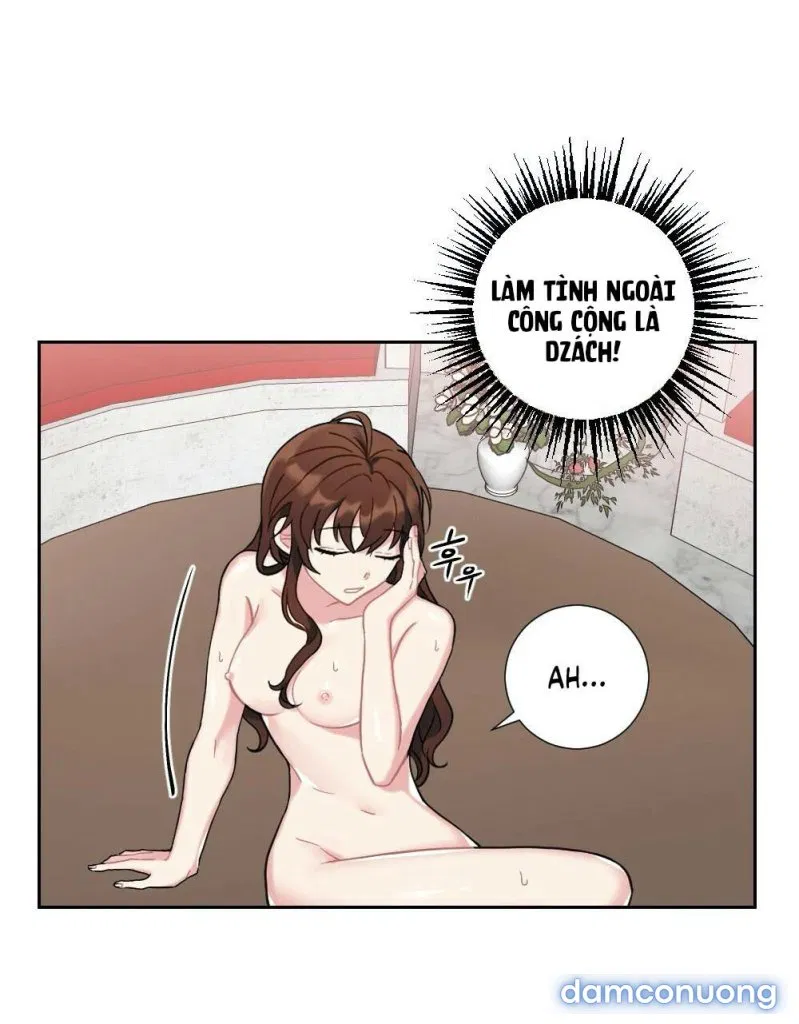 Cô Chủ Và Người Hầu 