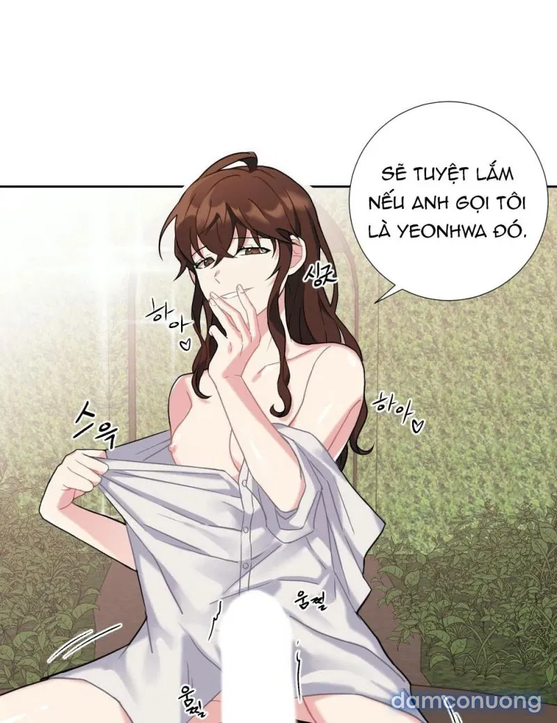 Cô Chủ Và Người Hầu 