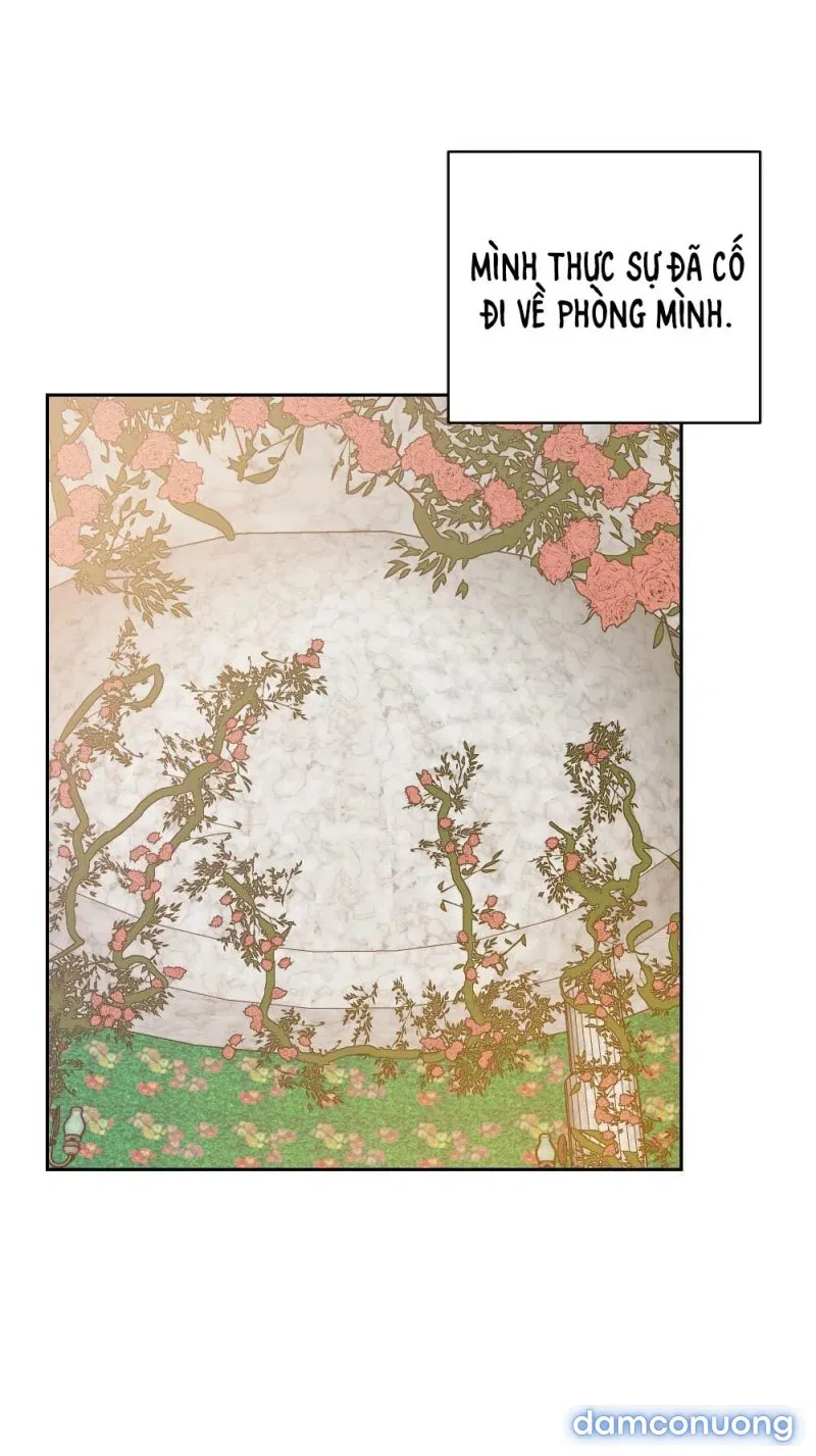 Cô Chủ Và Người Hầu 