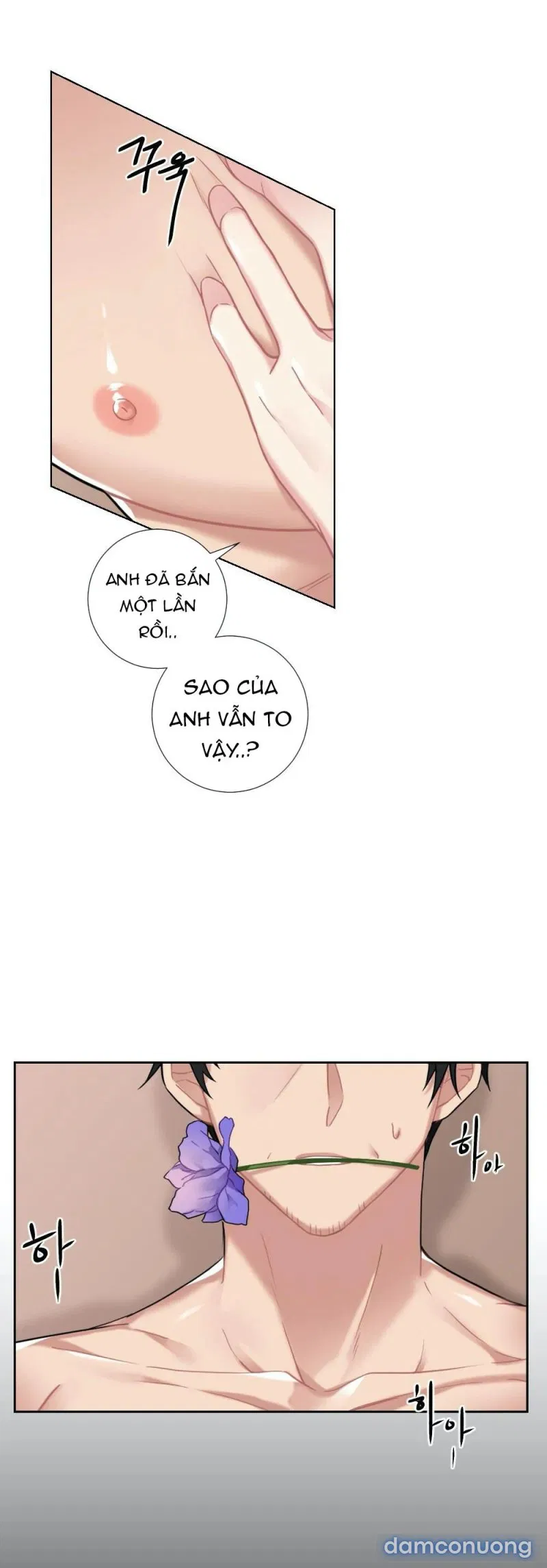 Cô Chủ Và Người Hầu 