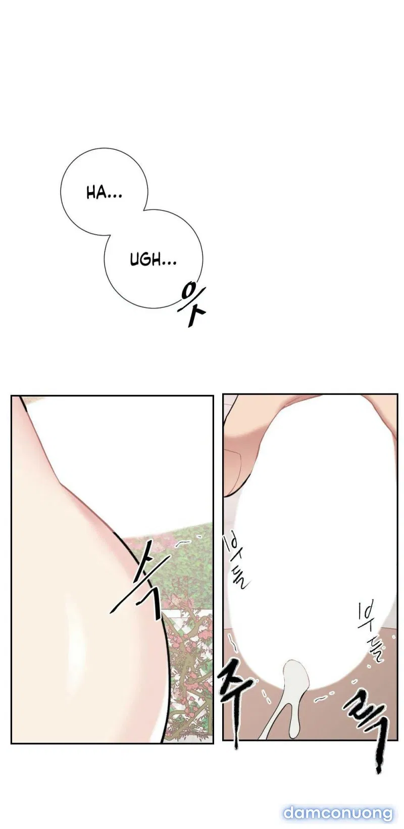 Cô Chủ Và Người Hầu 