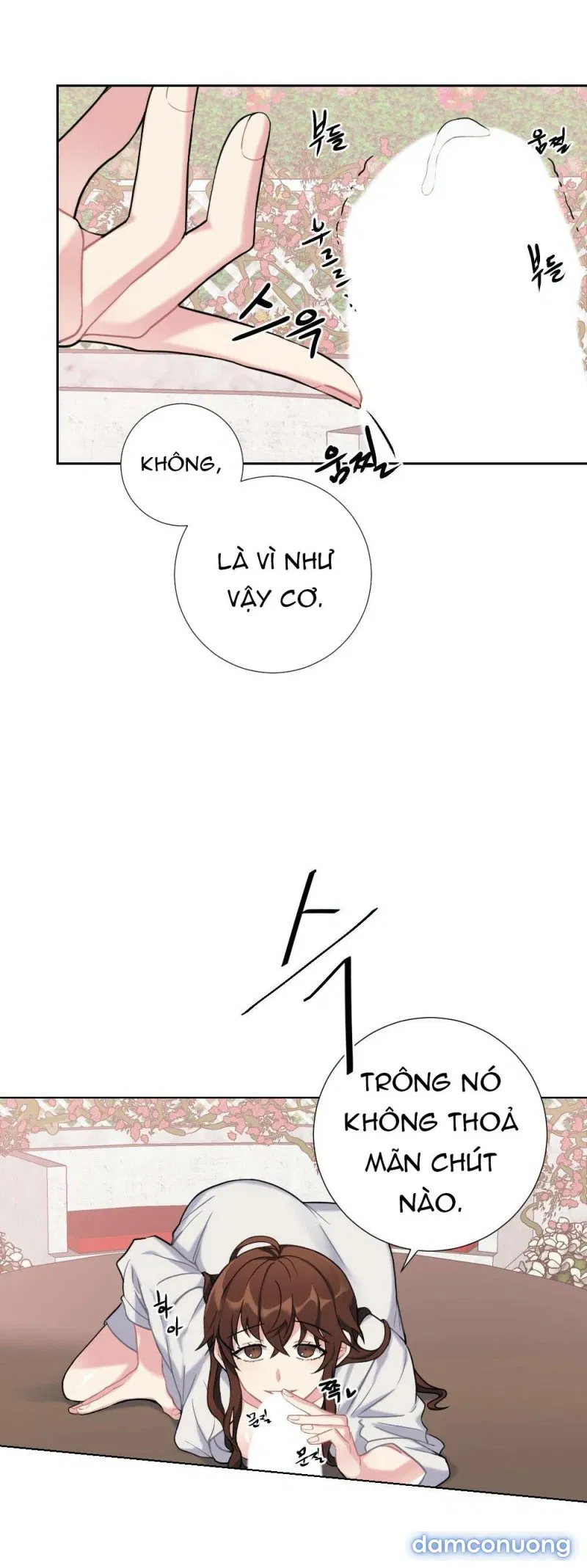 Cô Chủ Và Người Hầu 