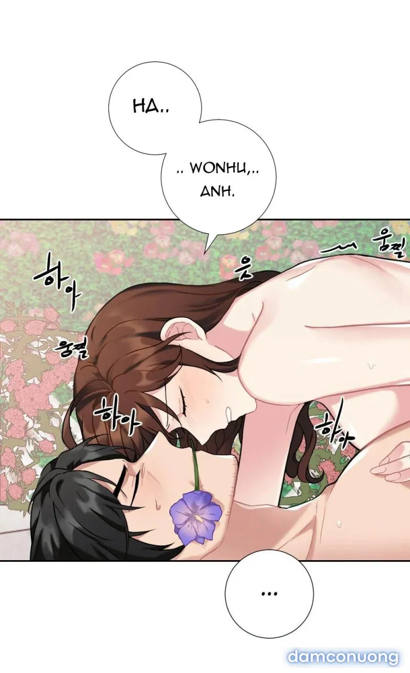 Cô Chủ Và Người Hầu 