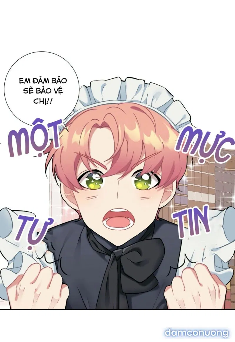Cô Chủ Và Người Hầu 
