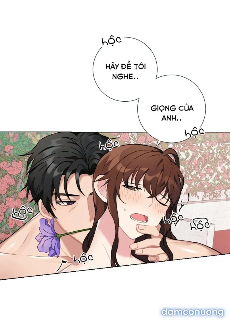 Cô Chủ Và Người Hầu 
