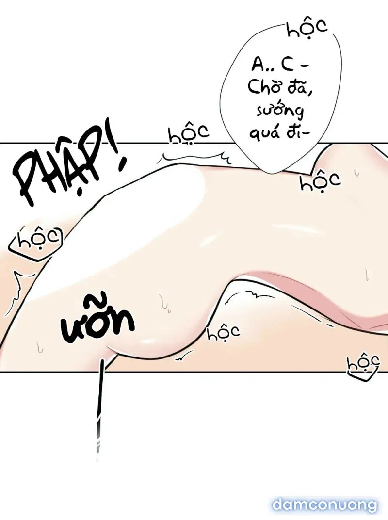 Cô Chủ Và Người Hầu 