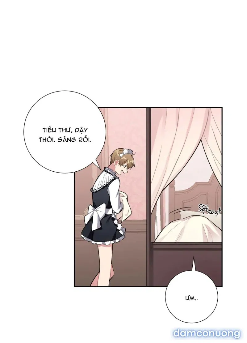 Cô Chủ Và Người Hầu 