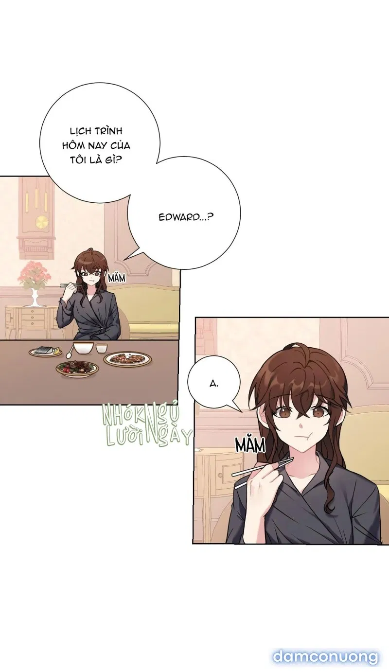 Cô Chủ Và Người Hầu 