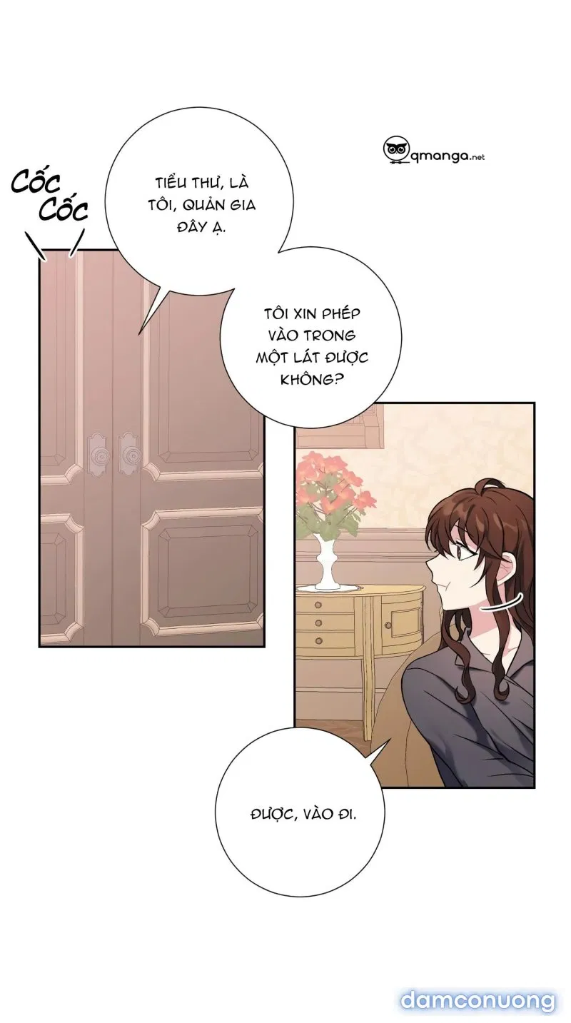 Cô Chủ Và Người Hầu 