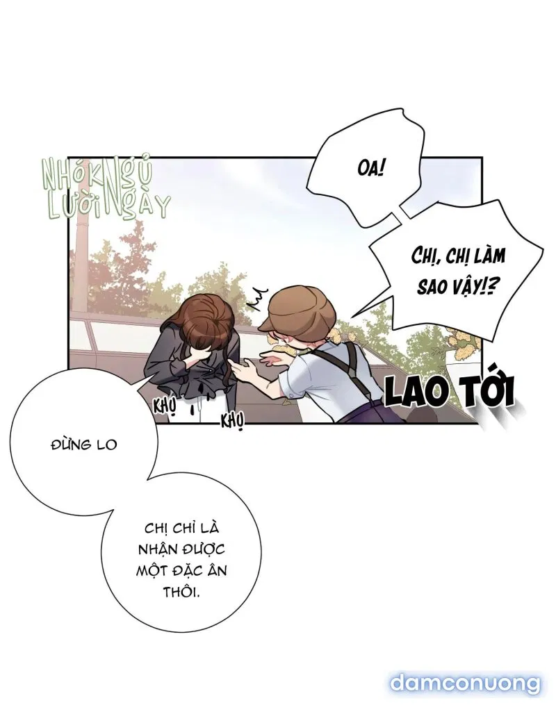 Cô Chủ Và Người Hầu 