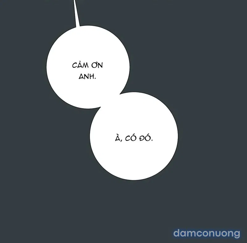 Cô Chủ Và Người Hầu 