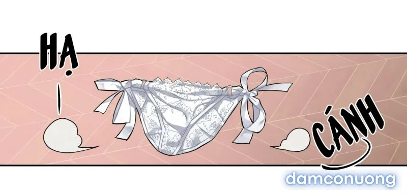 Cô Chủ Và Người Hầu 