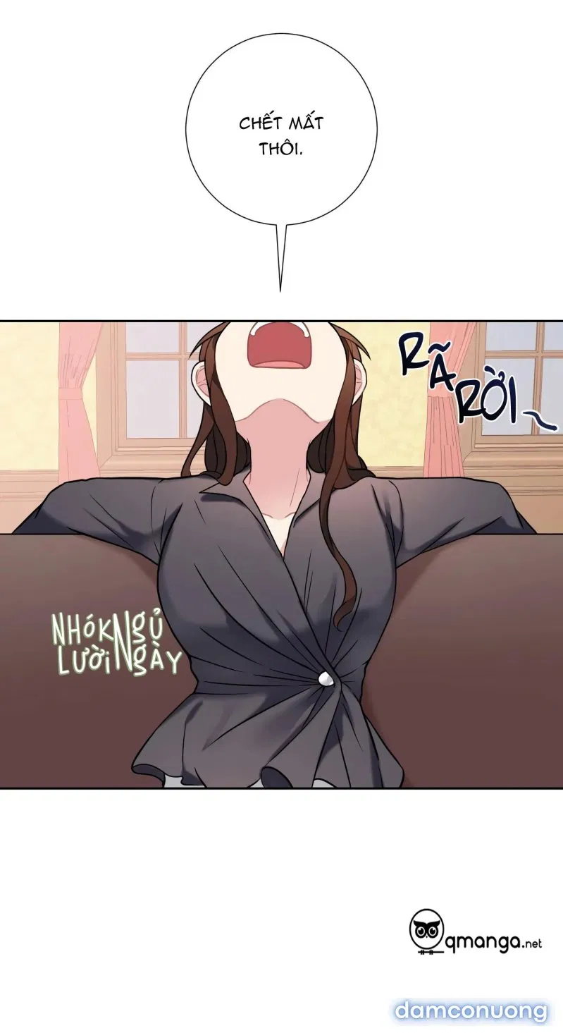 Cô Chủ Và Người Hầu 