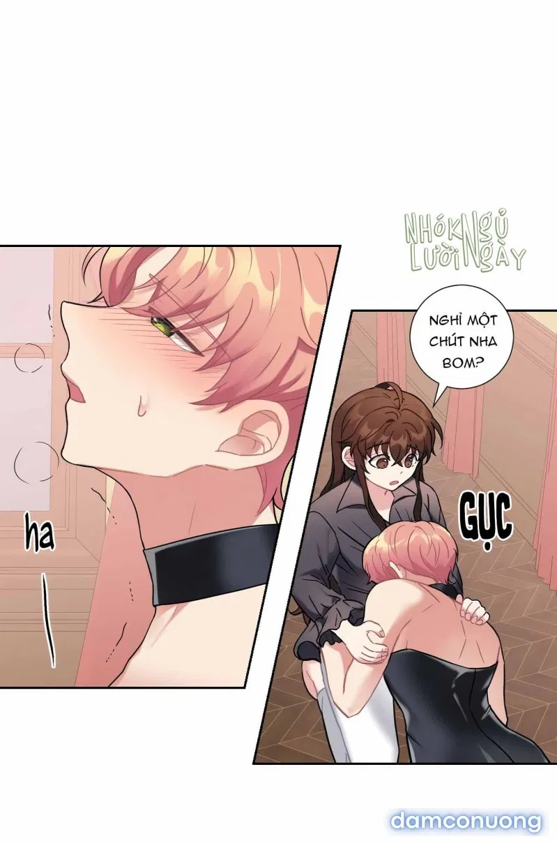 Cô Chủ Và Người Hầu 